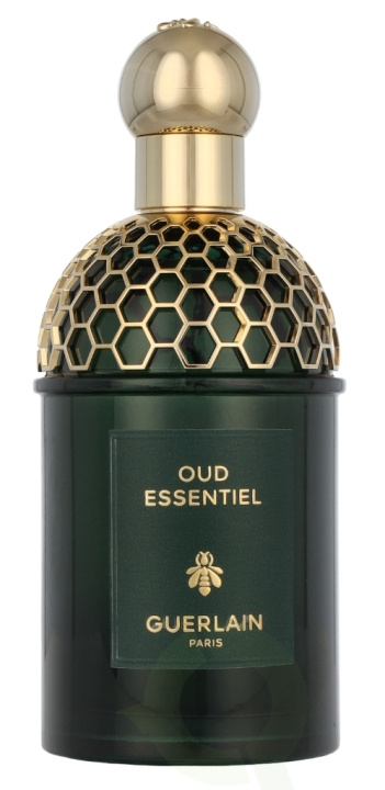 Guerlain Absolus Allegoria Oud Essentiel Edp Spray 125 ml in the group BEAUTY & HEALTH / Fragrance & Perfume / Perfumes / Unisex at TP E-commerce Nordic AB (D25861)