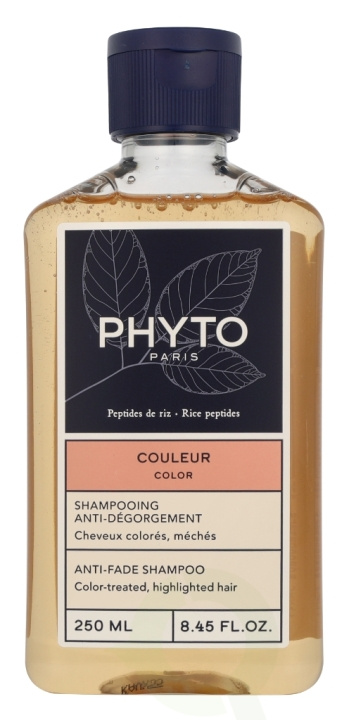 Phyto Phytocolor Anti Disgorgement Shampoo 250 ml in the group BEAUTY & HEALTH / Hair & Styling / Hair care / Schampoo at TP E-commerce Nordic AB (D28097)