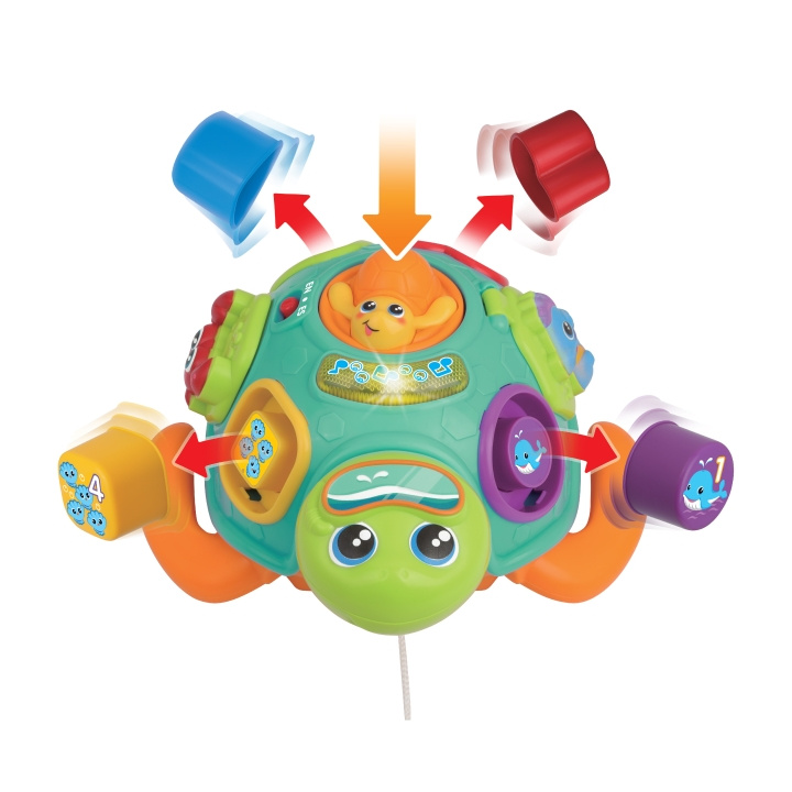 WINFUN Pull Along Sort \'N Learn Turtle (240301-NL) in the group TOYS, KIDS & BABY PRODUCTS / Baby toys / Activity toys at TP E-commerce Nordic AB (D30029)