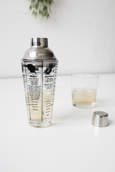 Kikkerland Mix Master Cocktail Shaker 16OZ (BA22) in the group HOME, HOUSEHOLD & GARDEN / Kitchen utensils / Wine & Drink accessories at TP E-commerce Nordic AB (D31204)