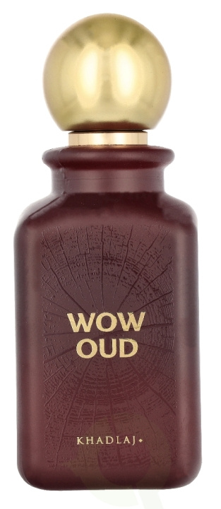 Khadlaj Wow Oud Edp Spray 100 ml in the group BEAUTY & HEALTH / Fragrance & Perfume / Perfumes at TP E-commerce Nordic AB (D32772)