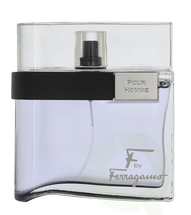 Ferragamo F By Ferragamo Black Edt Spray 100 ml in the group BEAUTY & HEALTH / Fragrance & Perfume / Perfumes at TP E-commerce Nordic AB (D32947)