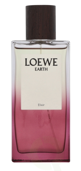 Loewe Earth Elixir Edp Spray 100 ml in the group BEAUTY & HEALTH / Fragrance & Perfume / Perfumes at TP E-commerce Nordic AB (D34038)