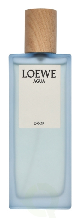 Loewe Agua Drop Edp Spray 50 ml in the group BEAUTY & HEALTH / Fragrance & Perfume / Perfumes at TP E-commerce Nordic AB (D34041)