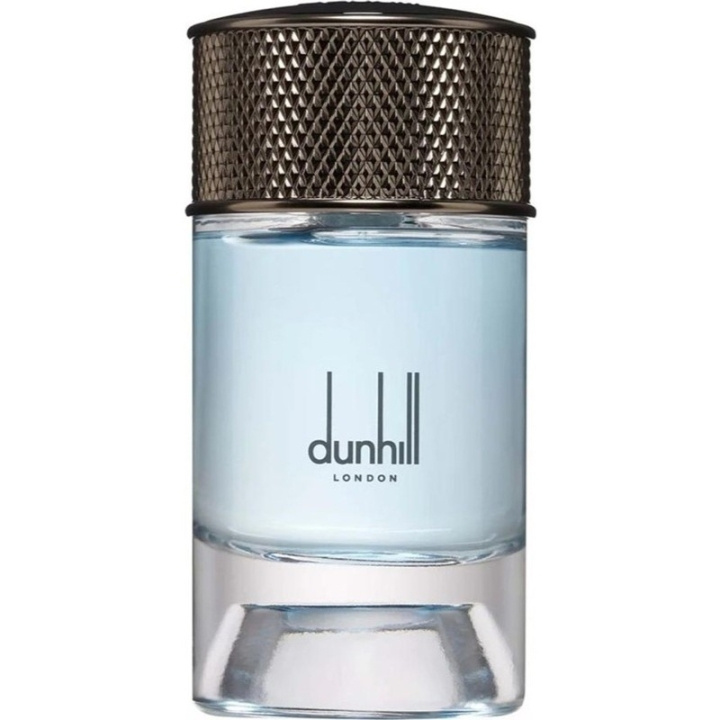 Dunhill Nordic Fougere Edp 100ml in the group BEAUTY & HEALTH / Fragrance & Perfume / Perfumes at TP E-commerce Nordic AB (D34284)
