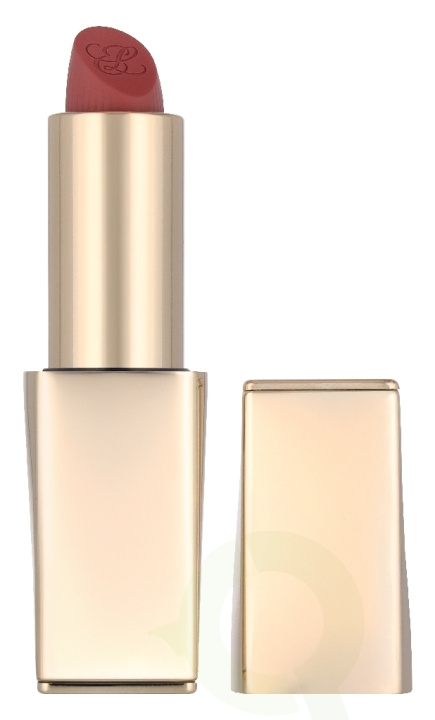 Estee Lauder Pure Color Matte Lipstick 3.5 g #828 in the group BEAUTY & HEALTH / Makeup / Lips / Lipstick at TP E-commerce Nordic AB (D35388)