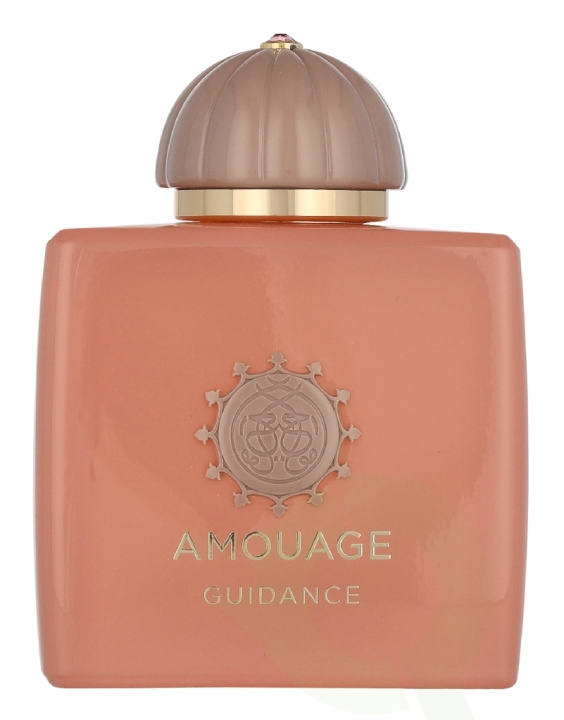 Amouage Guidance Edp Spray 100 ml in the group BEAUTY & HEALTH / Fragrance & Perfume / Perfumes / Perfume for her at TP E-commerce Nordic AB (D35461)