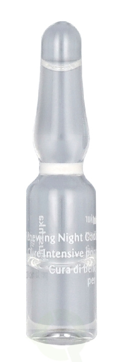 Dr. Hauschka Renewing Night Conditioner 50 ml 50x1 in the group BEAUTY & HEALTH / Skin care / Face / Skin serum at TP E-commerce Nordic AB (D35937)