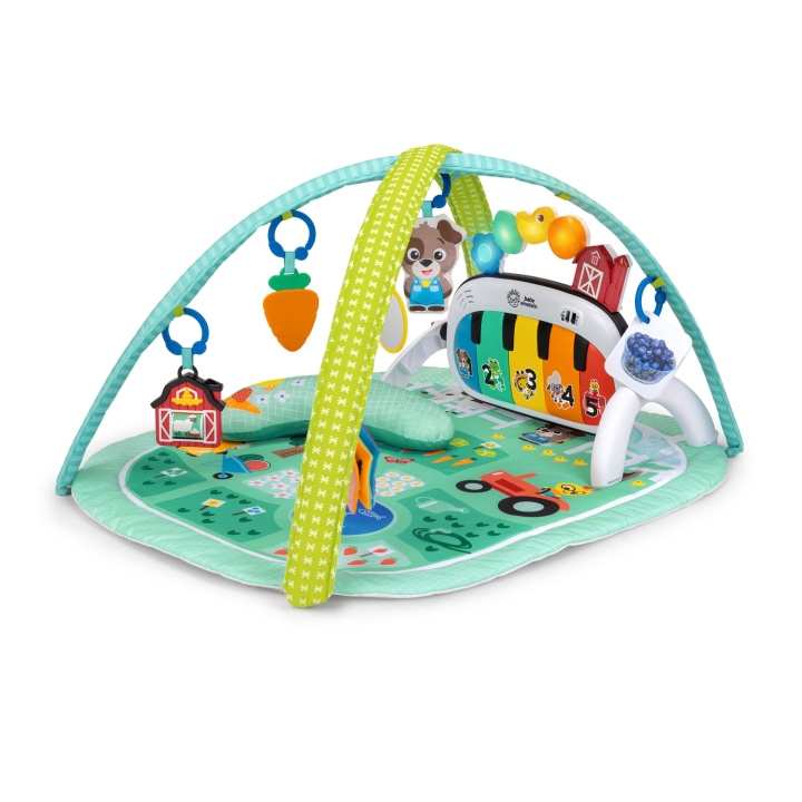 Baby Einstein 4-in-1 Kickin\' Tunes™ Musical Meadow™ Music & Language Discovery Gym (BE-17447) in the group TOYS, KIDS & BABY PRODUCTS / Baby toys / Activity toys at TP E-commerce Nordic AB (D37368)