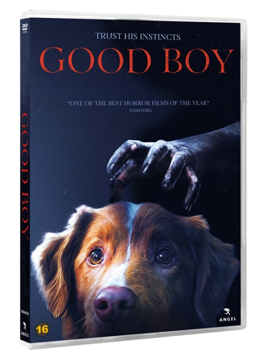 GOOD BOY (DVD) in the group HOME ELECTRONICS / Audio & Picture / TV & Accessories / Movies / DVD at TP E-commerce Nordic AB (D38107)