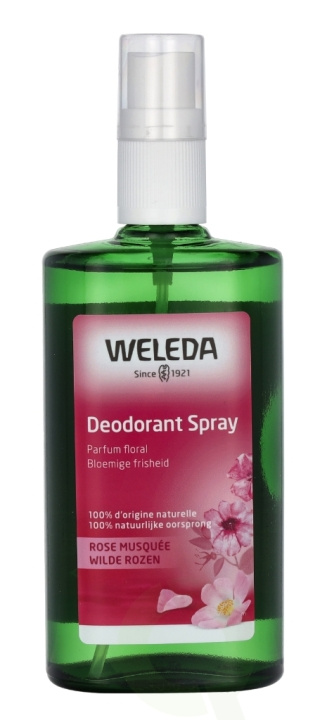 Weleda Wilde Roses Deodorant Spray 100 ml in the group BEAUTY & HEALTH / Fragrance & Perfume / Deodorants at TP E-commerce Nordic AB (D44275)
