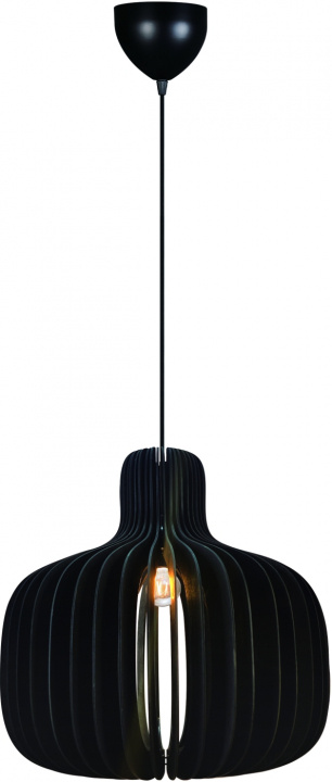 Nordlux Taklampa Hazo 43 Svart Nordlux in the group HOME ELECTRONICS / Lighting / Ceiling lights at TP E-commerce Nordic AB (D44446)