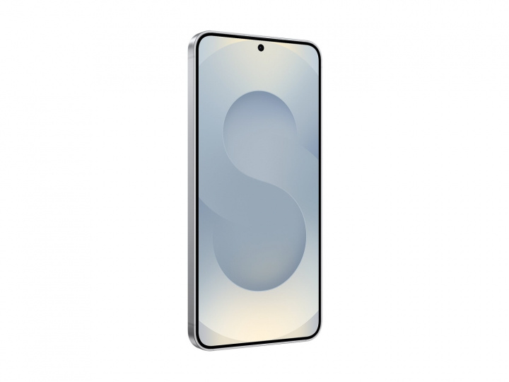 Samsung Galaxy S25 Enterprise Edition 128GB - Silver Shadow Samsung in the group SMARTPHONE & TABLETS / Mobile phones & smartphones at TP E-commerce Nordic AB (D44860)
