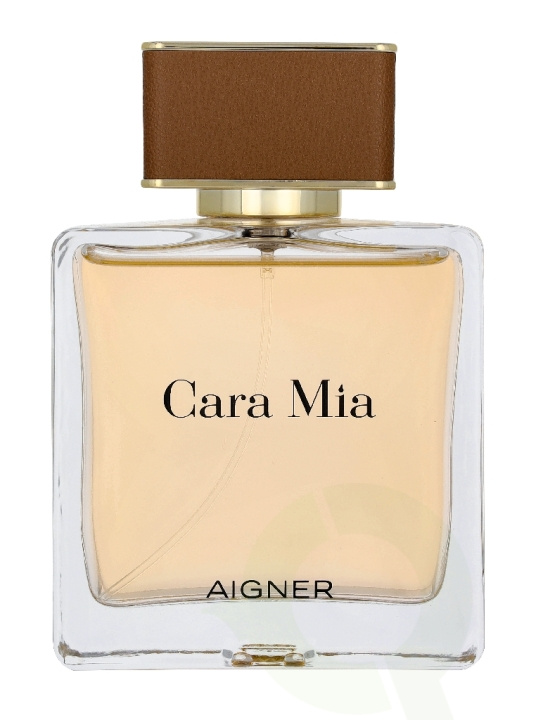 Etienne Aigner Cara Mia Edp Spray 100 ml in the group BEAUTY & HEALTH / Fragrance & Perfume / Perfumes / Perfume for her at TP E-commerce Nordic AB (D45080)
