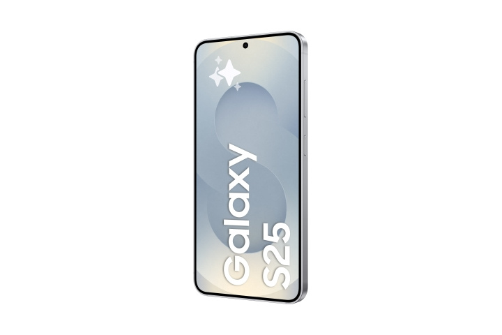 Samsung Galaxy S25 128 GB - Silver Shadow Samsung in the group SMARTPHONE & TABLETS / Mobile phones & smartphones at TP E-commerce Nordic AB (D45208)