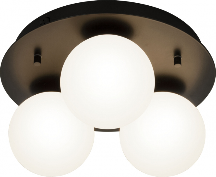 Aneta Plafond NICOSIA 16019-15 svart/opal Aneta in the group HOME ELECTRONICS / Lighting / Ceiling lights at TP E-commerce Nordic AB (D45525)