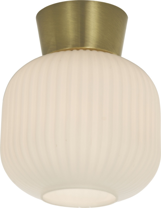 Aneta Plafond VANJA 16912-25 vit/matt mäss Aneta in the group HOME ELECTRONICS / Lighting / Ceiling lights at TP E-commerce Nordic AB (D45553)