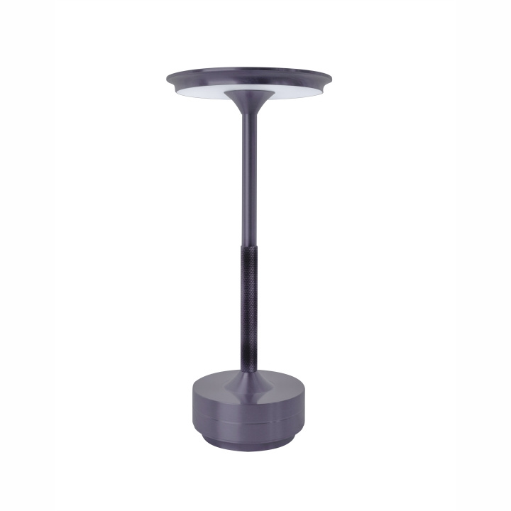 Armaturhantverk Svampen råjärn Armaturhantverk in the group HOME ELECTRONICS / Lighting / Table lamps at TP E-commerce Nordic AB (D45608)