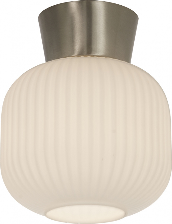 Aneta Plafond VANJA 16912-90 vit/borst stål Aneta in the group HOME ELECTRONICS / Lighting / Ceiling lights at TP E-commerce Nordic AB (D45637)