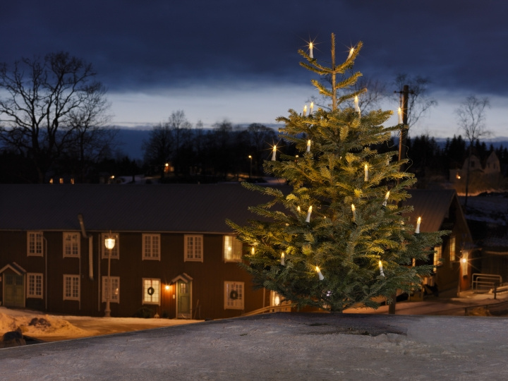 Konstsmide Julgransbelysning 1013-020 Konstsmide in the group HOME ELECTRONICS / Lighting / Christmas lights at TP E-commerce Nordic AB (D46012)