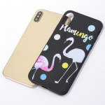 Back cover for iPhone X/XS, Flamingo