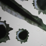 Tough stickers for Car/Motorcycle - Bullet holes and scratch marks Tough stickers for Car/Motorcycle - Bullet holes and scratch marks