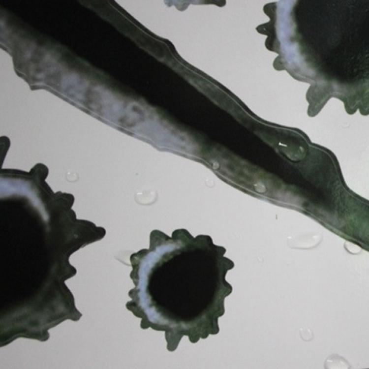 Tough stickers for Car/Motorcycle - Bullet holes and scratch marks Tough stickers for Car/Motorcycle - Bullet holes and scratch marks