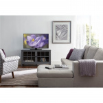 SANUS TV stand 32-60 SANUS TV stand 32-60