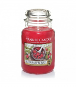 Yankee Candle Classic Large Jar Red Raspberry Candle 623g