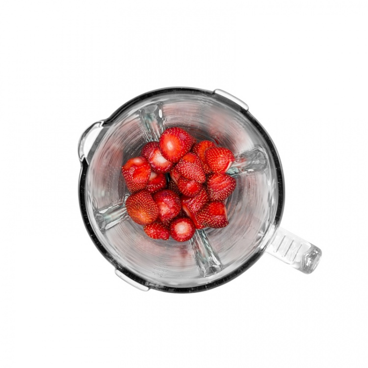 Champion Blender 600W Rostfritt stål