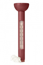 Queen Anne Celsius Badtermemeter Vit