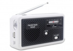 Multifunctional Crank Radio with LED Light - FM Radio, USB, Solar Power, Dynamo RD626