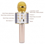 Karaoke microphone with Bluetooth, Rose gold