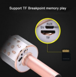 Karaoke microphone with Bluetooth, Rose gold