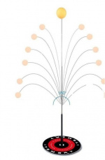 Table tennis training set