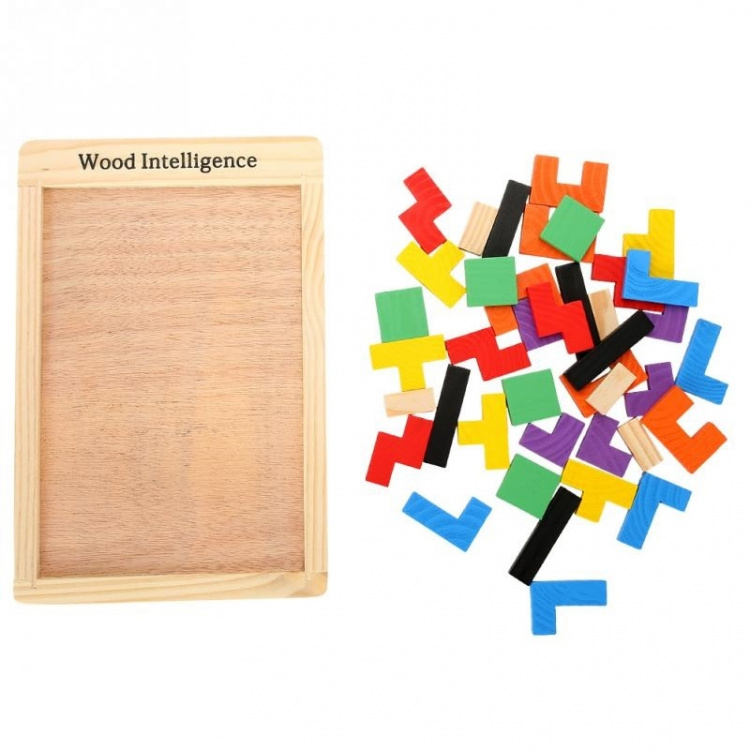 Wooden IQ puzzle for children
