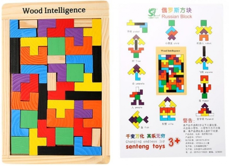 Wooden IQ puzzle for children