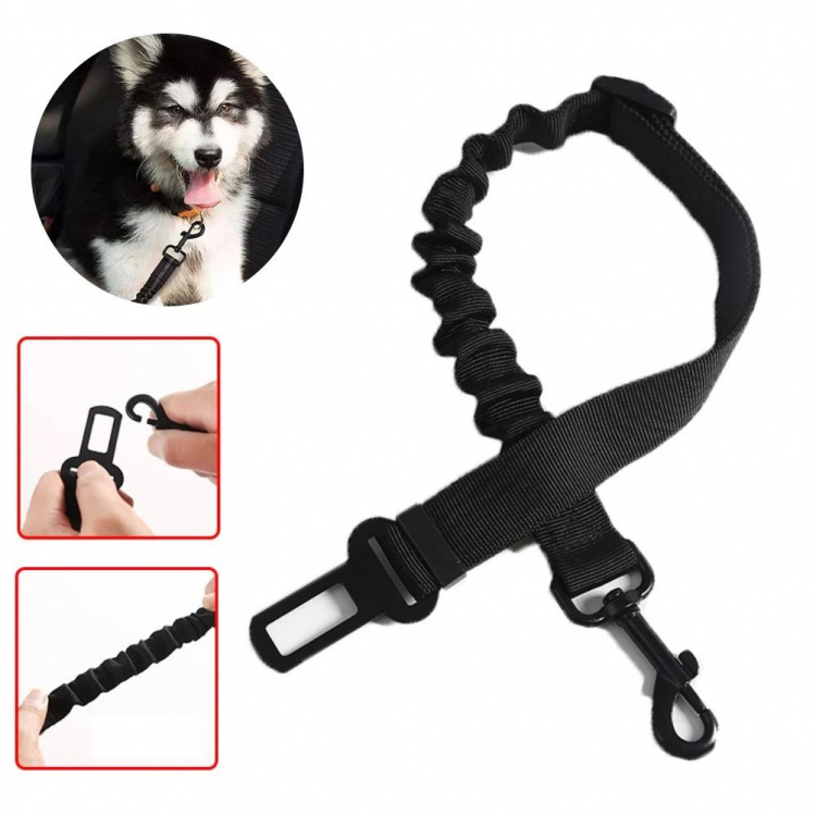 Leash with safety belt adapter for pets, Black