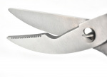 Multifunctional Kitchen Scissors in stainless steel