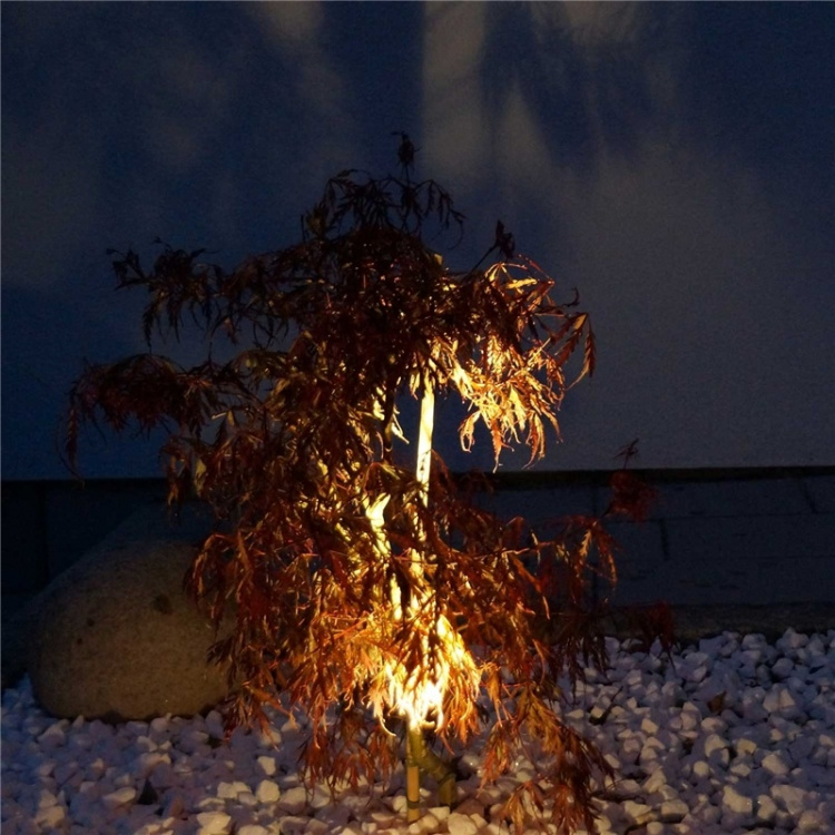 LightsOn Luminus trädgårdsspot Svart LightsOn Luminus trädgårdsspot Svart