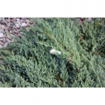 LightsOn Optica trädgårdsspot Aluminium