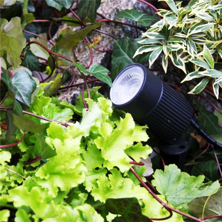 LightsOn Medusa Markspot med färgfilter LightsOn Medusa Markspot med färgfilter