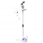Music Duet Disco Microphone