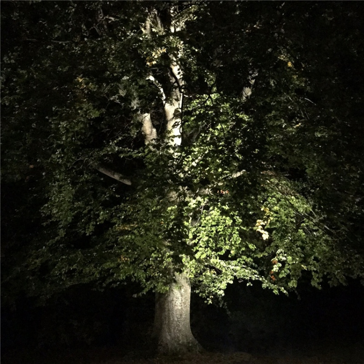 LightsOn Castor In-ground-markspot 1100 LightsOn Castor In-ground-markspot 1100