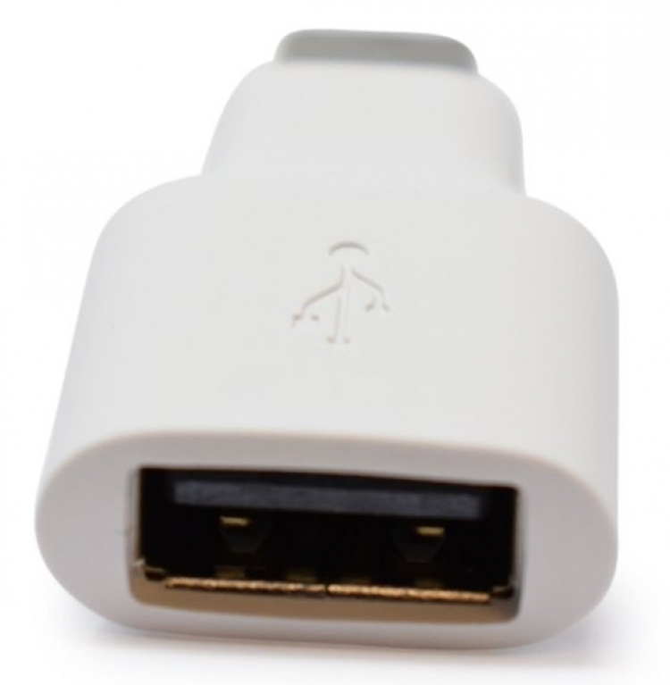 Google USB to USB-C Adapter, Bulk, White