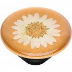 PopSockets Pressed Flower White Daisy Removable Grip with Standfunction Premium