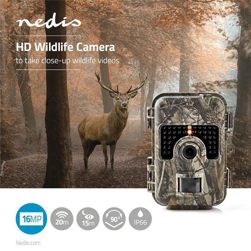 Wildlife video camera motion hot sale sensor