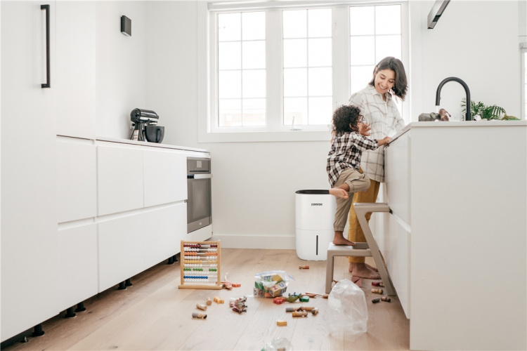 Adam - avfuktare 100m2, 44dB, wifi - Google Home, timer, 2 hastigheter, torkfunktion