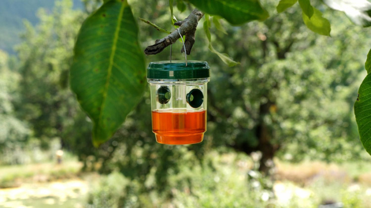 Genius Ideas Solar powered insect trap