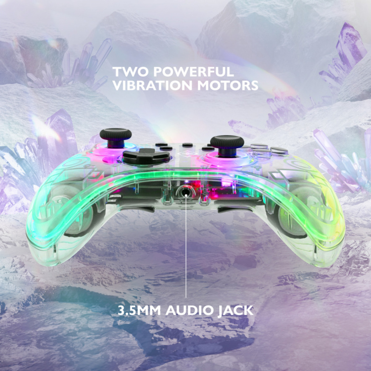 DELTACO Nintendo Switch Controller, transparent, RGB, macro buttons